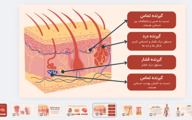 پاورپوینتهای کامل، دقیق و اختصاصی برای شما طراحی کنم.