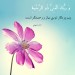 amirjalali7-70