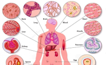 تصاویر-مربوط-مقالات-متون-علمی-حوزه-پزشکی-زیست-شناسی-طراحی