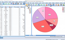 آزمون-آماری-SPSS