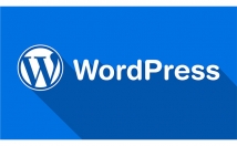 خدمات-وردپرسی-ارائه