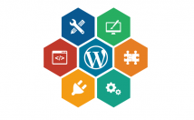 انواع-وب-سایت-وردپرس-طراحی-پیاده-سازی