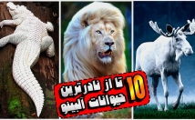 تدوین-نریشن-صداگذاری-ویدیوهای-حتی-ادیت-یوتیوبی