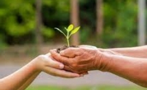 ارایه-مشاوره-روانشناسی-حل-مشکلات-کمک