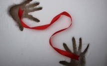 موضوع-مفهوم-محتوای-موردنظر-عکاسی