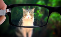 صفحه-اینستاگرام-محتوای-جذاب-تولید